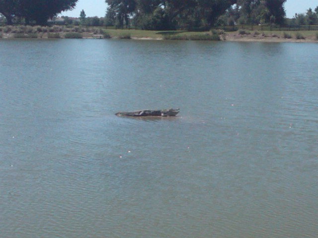 IMG00172 20101007 1445