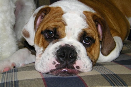 My Baby