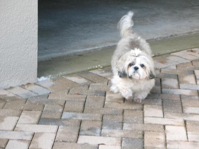 fall2010 035