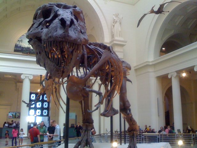 Sue, Field Museum, Chicago, IL