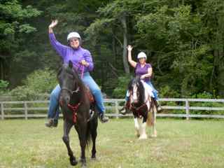 Blake and Jane with Gidion and Mary.

Blake is a pure black Morgan.  Gidion is a Gypsy Vanner