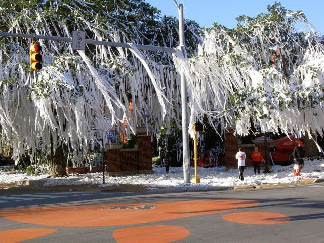 Toomer's Corner, Auburn