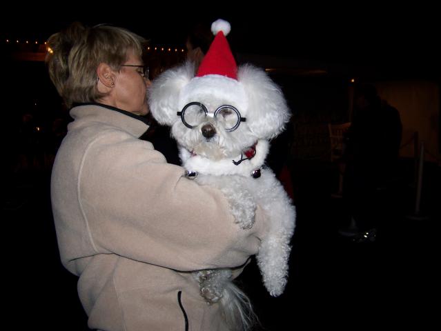 Harry Potter in his Christmas hat...
