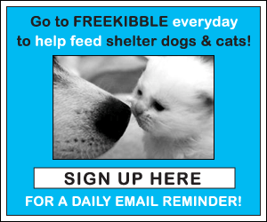 Freekibble - to feed a shelter animal