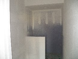 guest bath    week 4