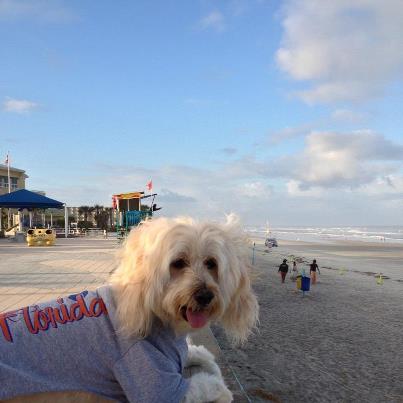 butters at the beach