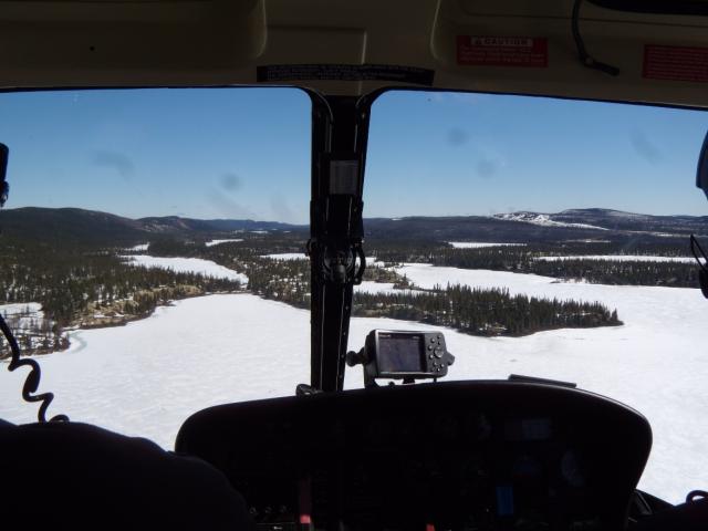 QNSL Helicopter