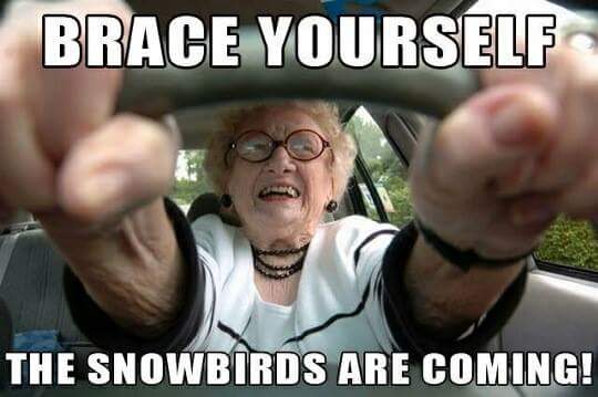 snowbirds