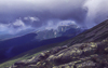 MT Washington