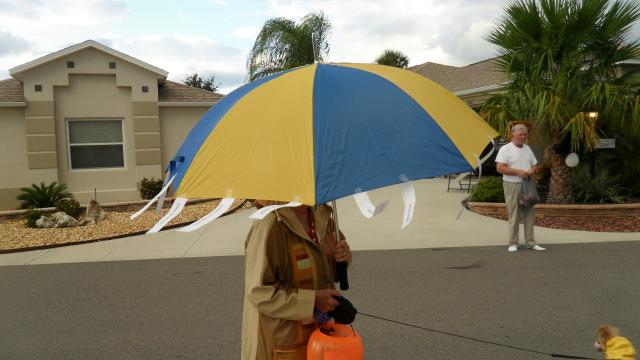 Raining Cats & Dogs . . .