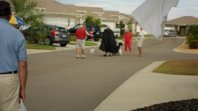 The neighborhood has gone to the DOGS . . .