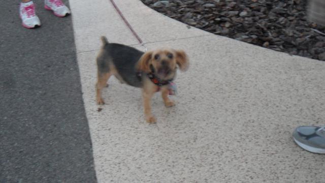 Pepper - come lately . . .   cute
