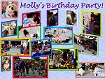 Molly' HotDoggie birthday party