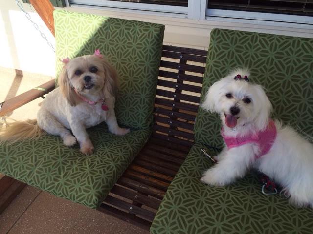 Molly with BFF Penny