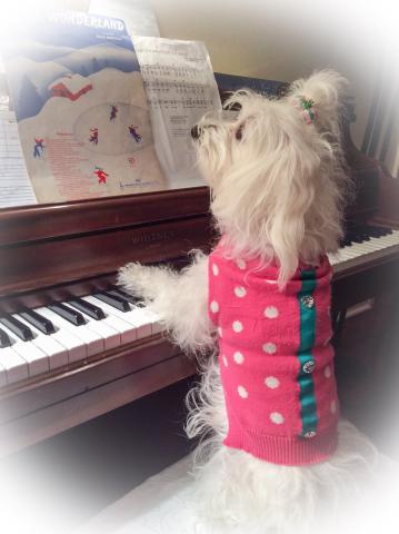 MOLLY'S PIANO RECITAL