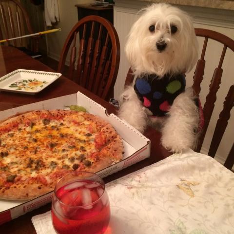 PIZZA NIGHT