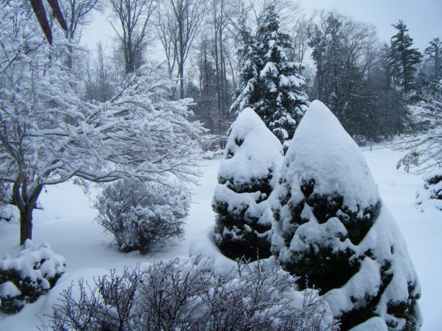Snow..November 2009