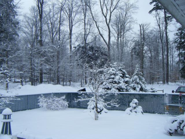 Our backyard..