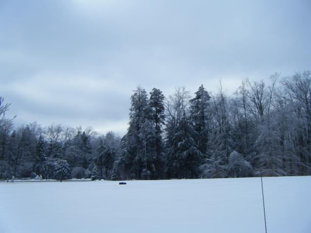 2009 01110012