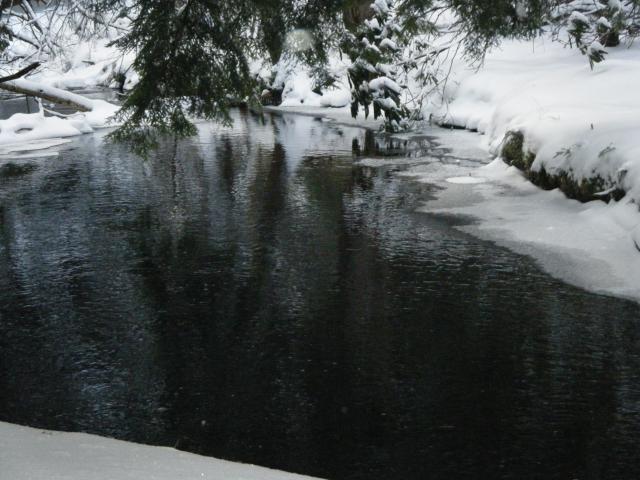 2009 01120009
