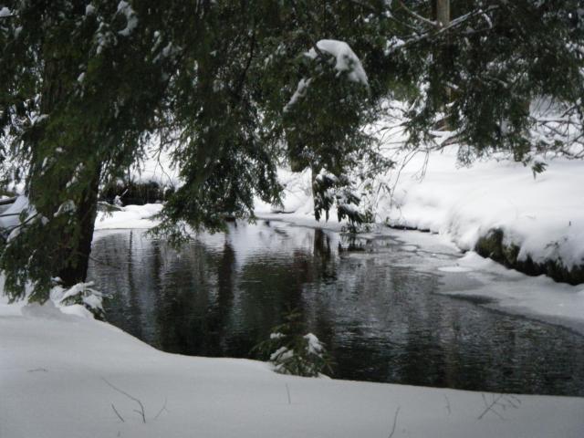 2009 01120013