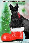 Rhett, Scottish Terrier