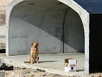 This is Caly in a new tunnel which will be under Morse Blvd south of 466A