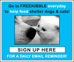 Freekibble - to feed a shelter animal