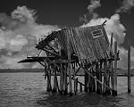 The most photographed structure in Florida, the Honeymoon Cottage in the bay off Cedar Key.