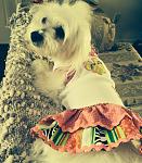 Molly's new "FlipFlop Dress"