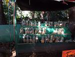 Roadside fruit stand. For me, the tourist, a special price of $10 for a Maui pineapple. $4 to $5 in the local supermarket. I am outta here!