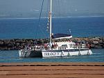 Trilogy Excursions, the best way to whale watch or snorkel on Maui