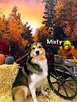 Misty Thanksgiving