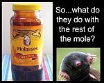 molasses