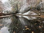 pool with snow